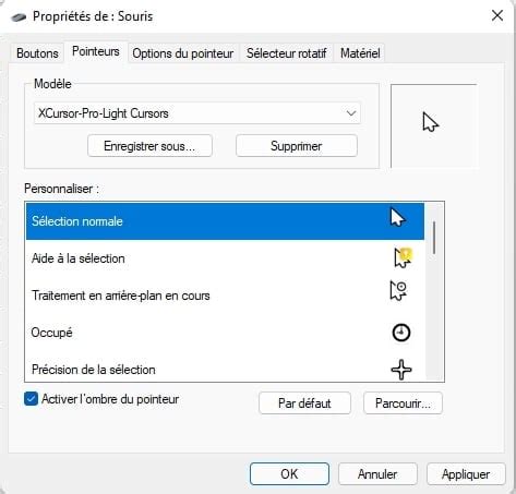 Activer pointeur souris windows 10